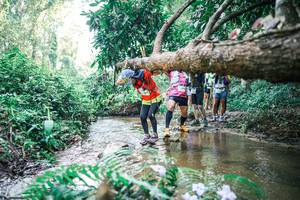 BIB: 
                            <button type="button" onclick="openModal(25469401)" class="btn btn-primary btn-sm float-right btn-popup" data-toggle="modal" data-target=".modal-high-quality">
                        <i class="fas fa-shopping-cart"></i> Add to Cart
                    </button>
                                            <button type="button" onclick="isThisMe(25469401, true)" class="btn btn-success btn-sm float-right btn-popup btn-isme hidden" data-toggle="tooltip" data-placement="bottom" title="นี่คือรูปของคุณใช่ไหม คลิกที่นี่เพื่อเอาเข้าอัลบั้ม">
                        <i class="fas fa-plus"></i> Add to album
                    </button>
                    <button type="button" onclick="isThisMe(25469401, false)" class="btn btn-warning btn-sm float-right btn-popup btn-isnotme hidden">
                        <i class="fas fa-ban"></i> Remove from album
                    </button>